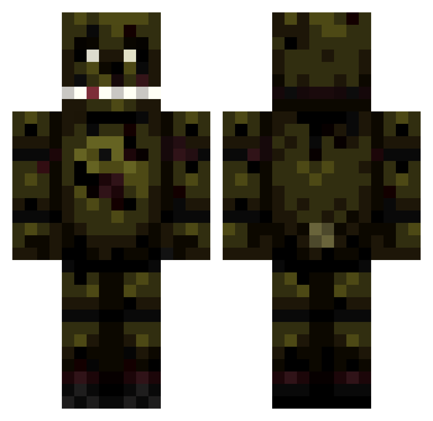 Zygardez Minecraft skin, front and back view