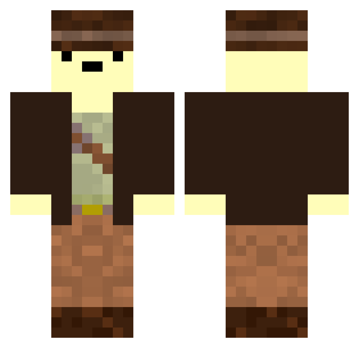 Taxations Minecraft skin, front and back view