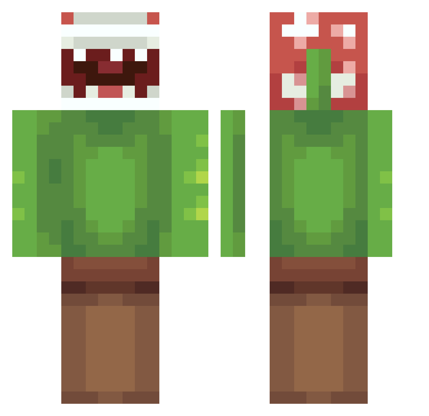 Sonregion Minecraft skin, front and back view