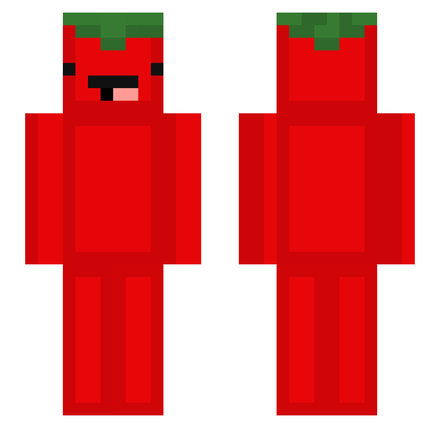 Sassing Minecraft skin, front and back view