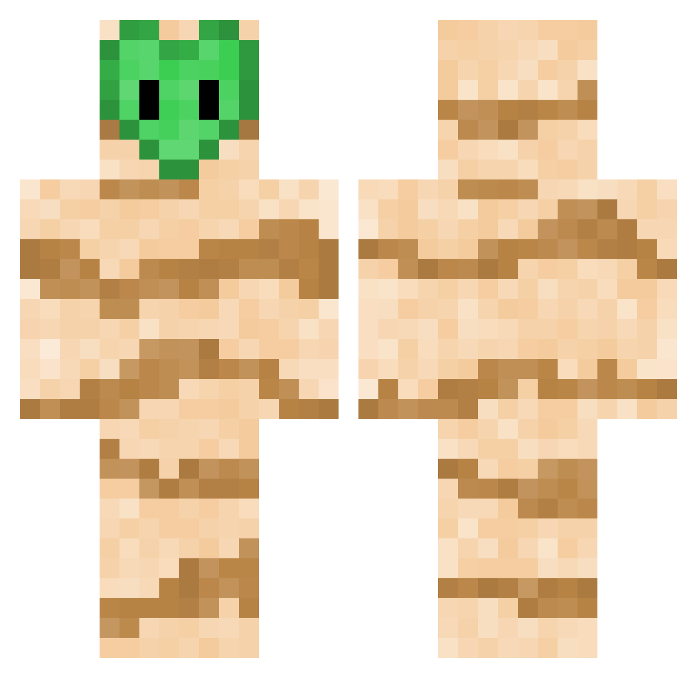 Aetites Minecraft skin, front and back view
