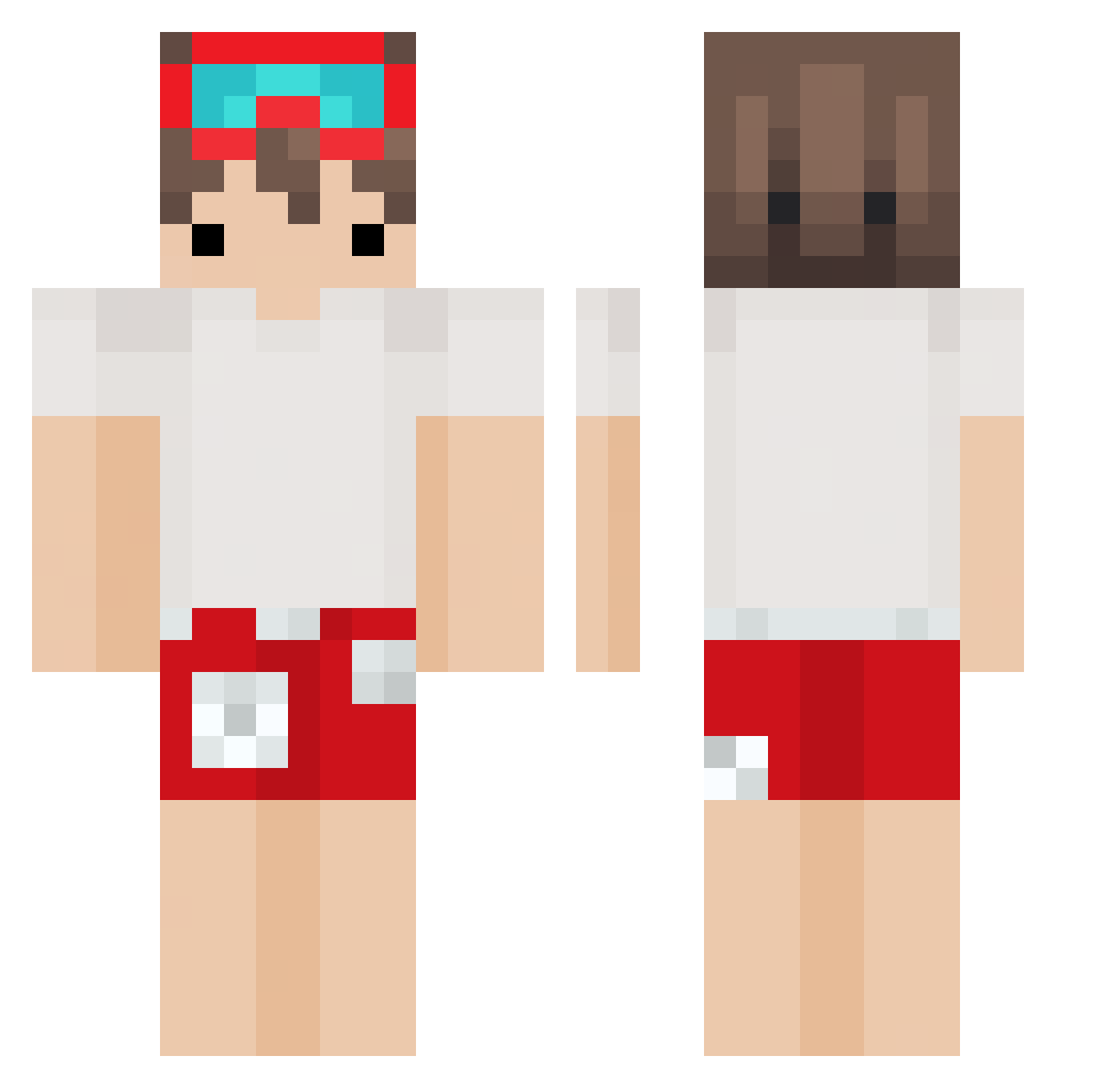 Ankan28 Minecraft skin, front and back view