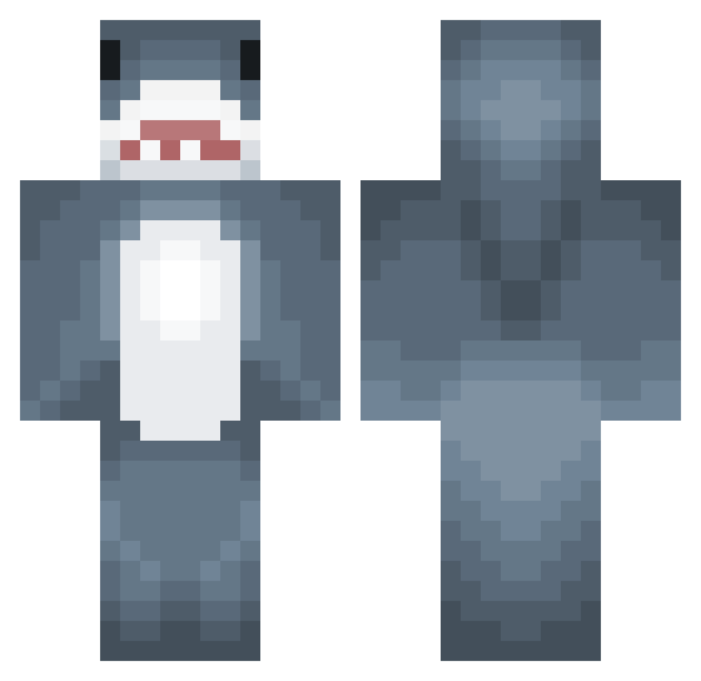 srgbenji Minecraft skin, front and back view