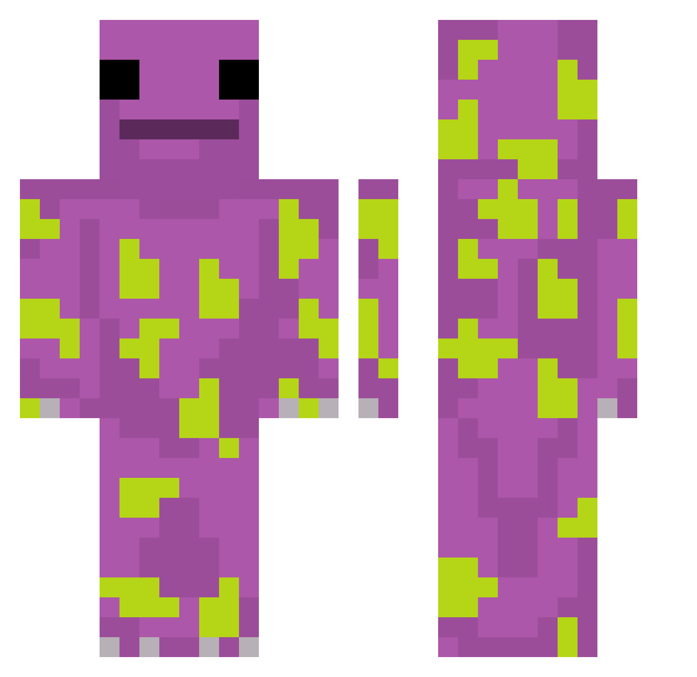 slytheminer Minecraft skin, front and back view