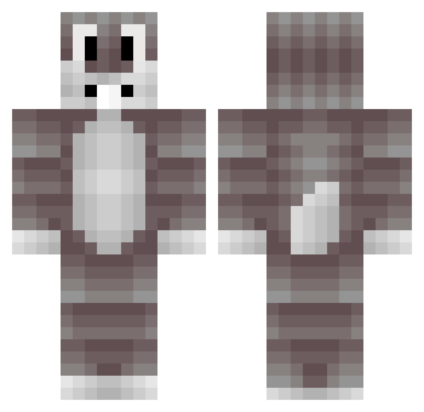 afcom Minecraft skin, front and back view