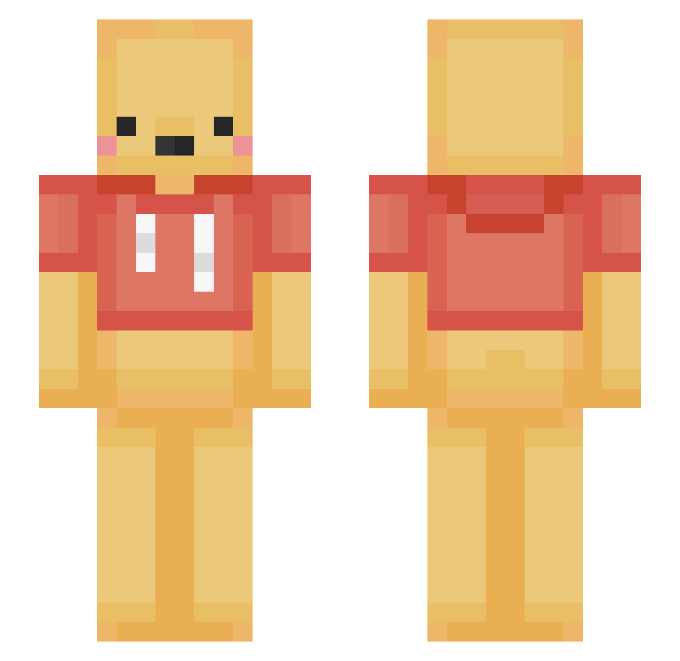 Homosmexual Minecraft skin, front and back view