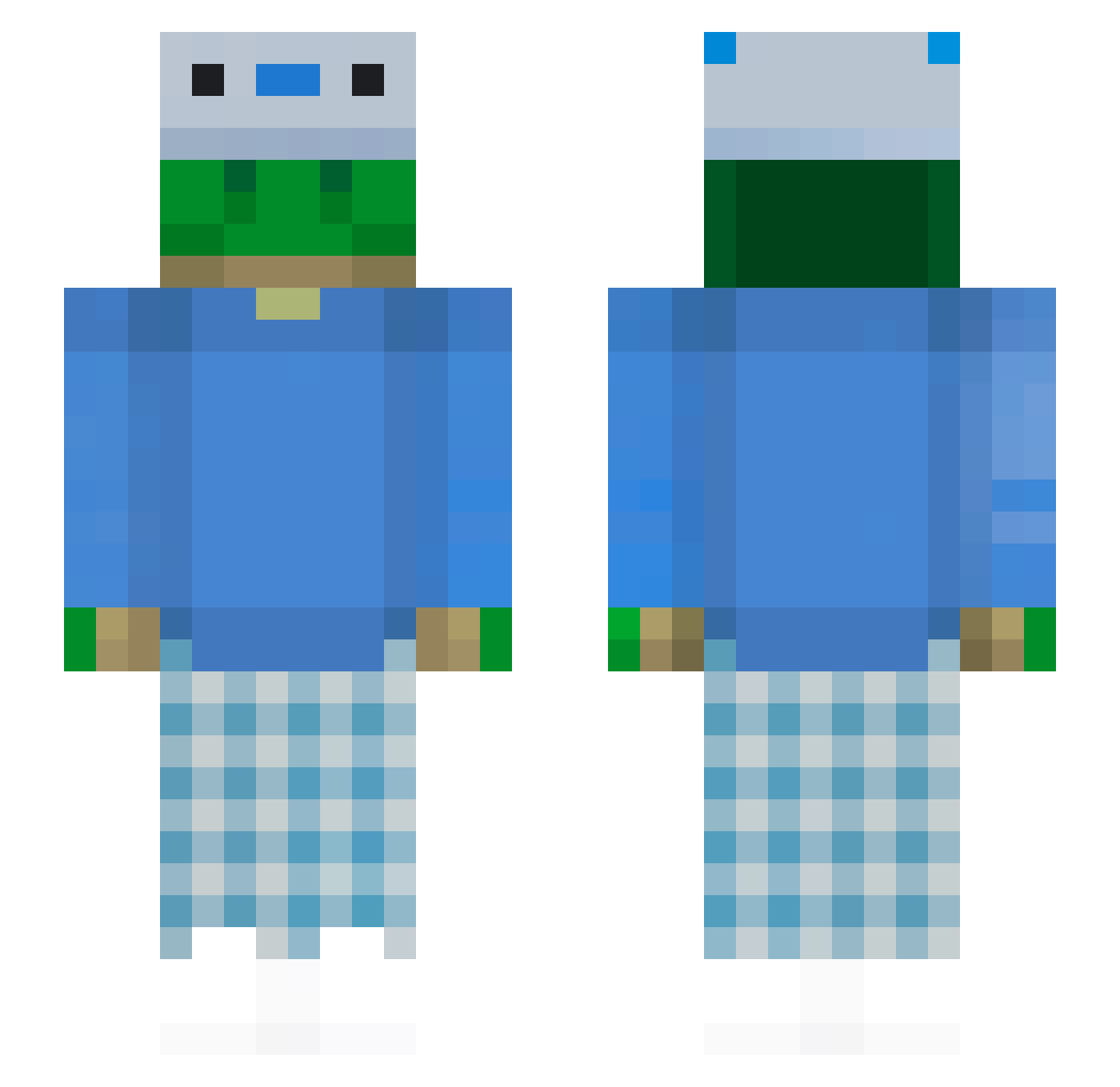 some_turtle Minecraft skin, front and back view