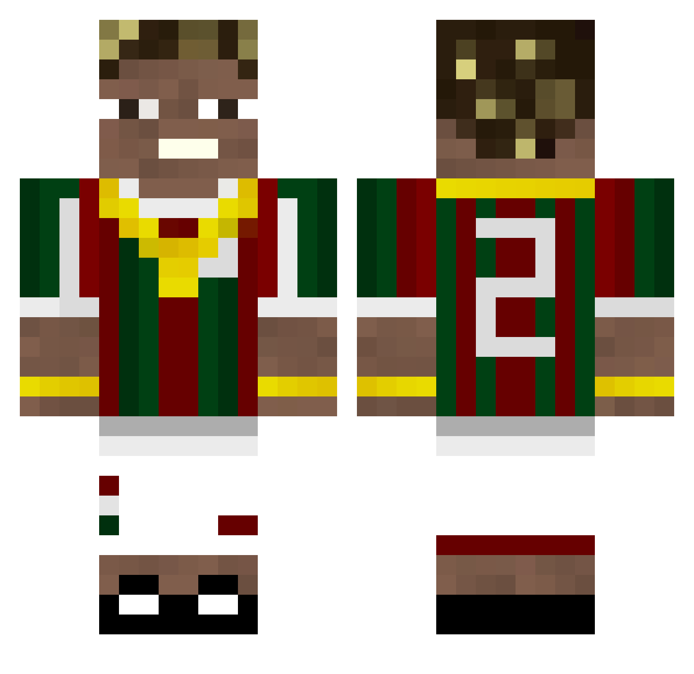 ditolanz Minecraft skin, front and back view