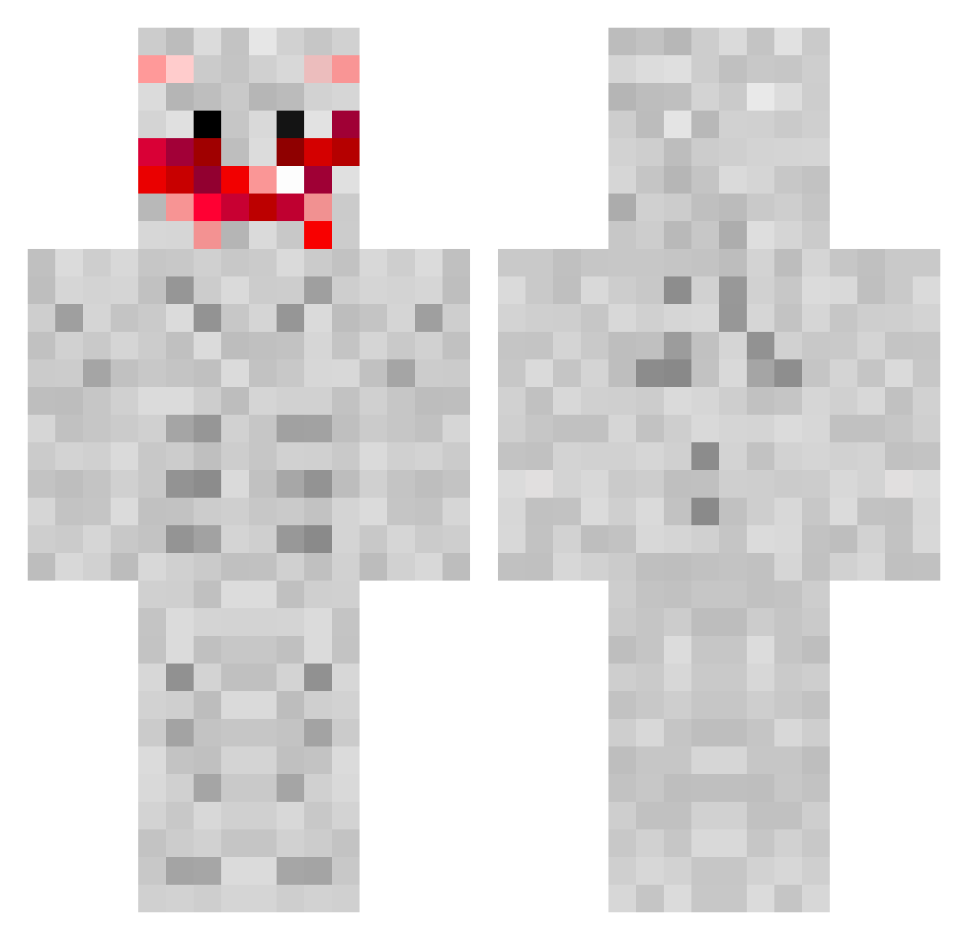 paydvn Minecraft skin, front and back view