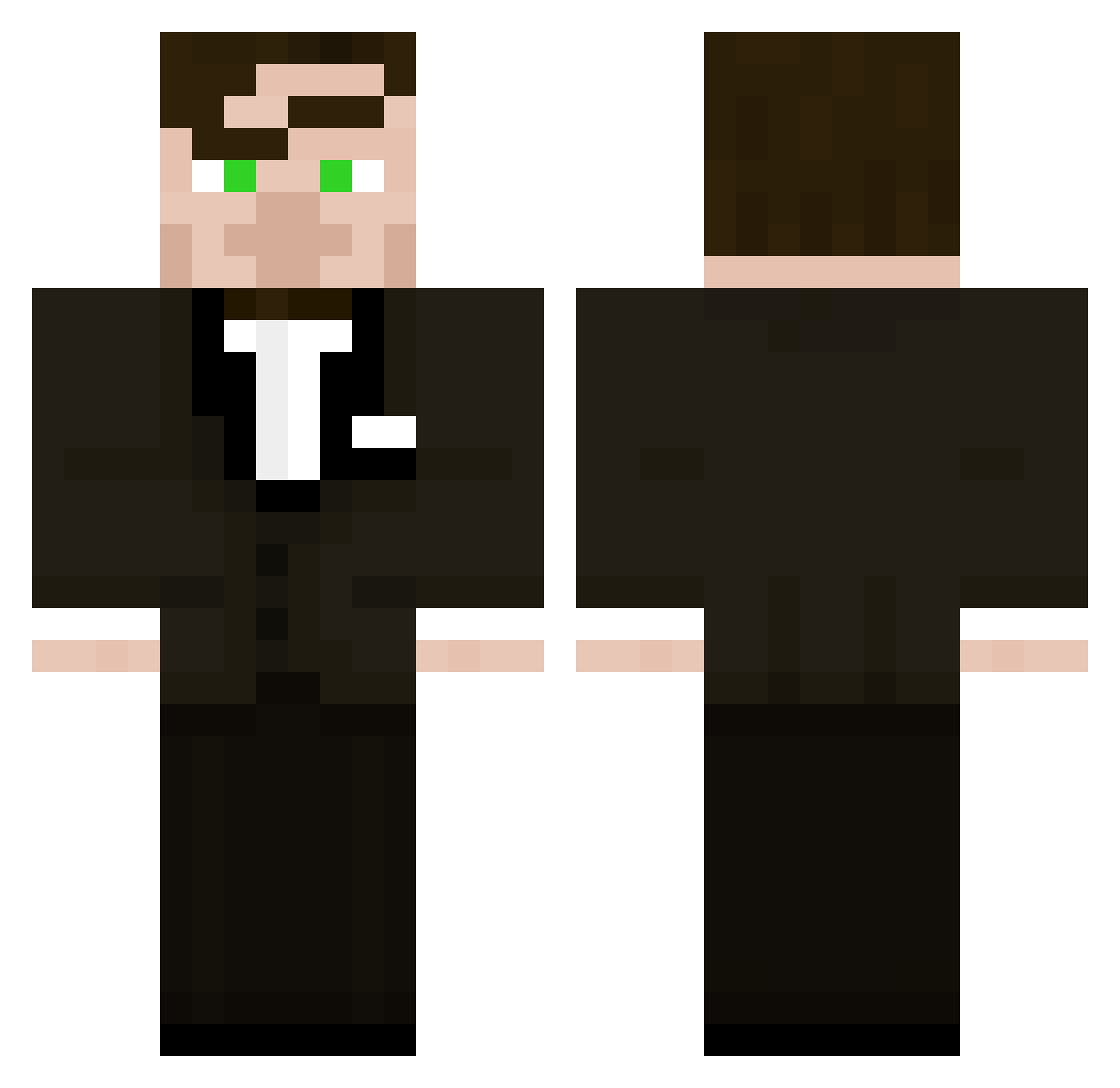 Nunchucksushi_ Minecraft skin, front and back view