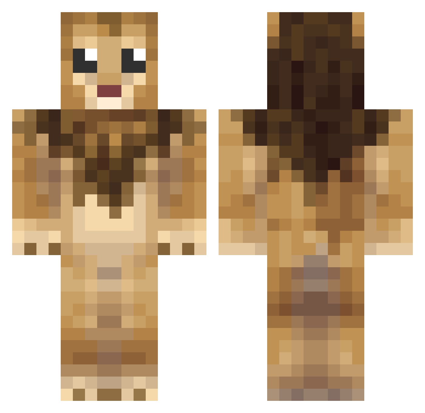 winres Minecraft skin, front and back view