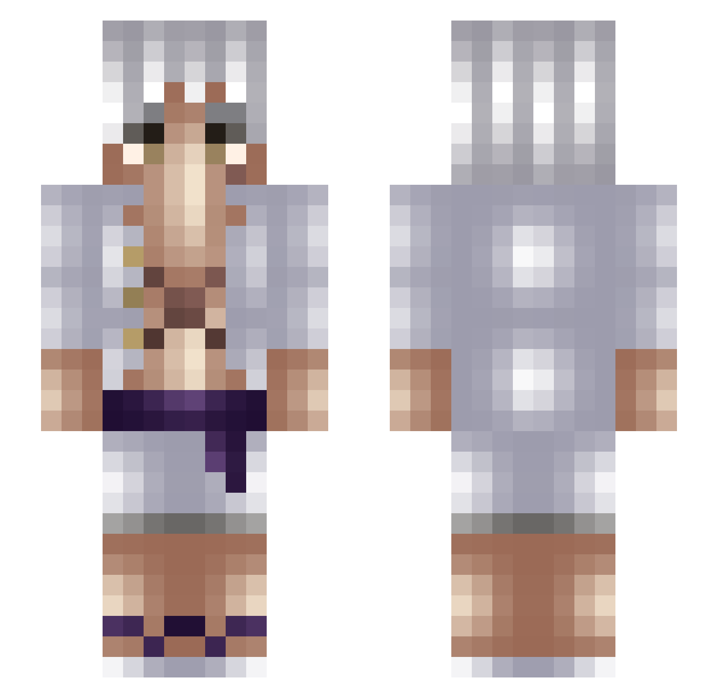 Francophobe Minecraft skin, front and back view