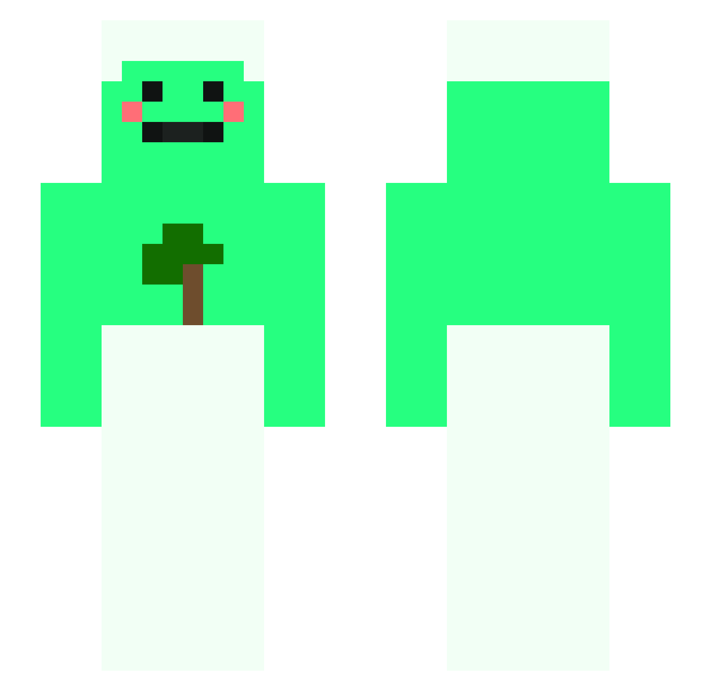 Practicalism Minecraft skin, front and back view