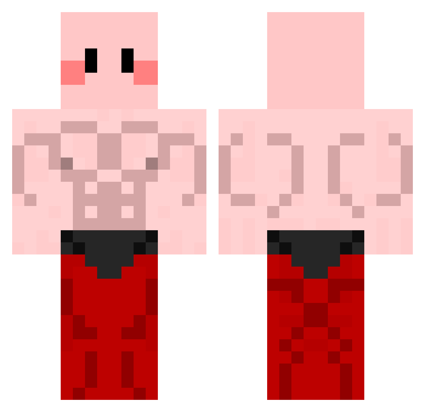 POLPOG Minecraft skin, front and back view