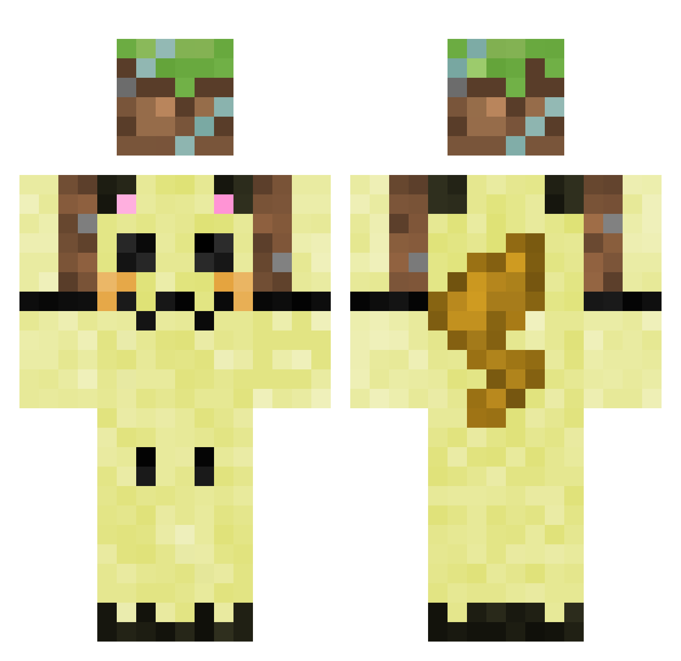 hfg_pt Minecraft skin, front and back view