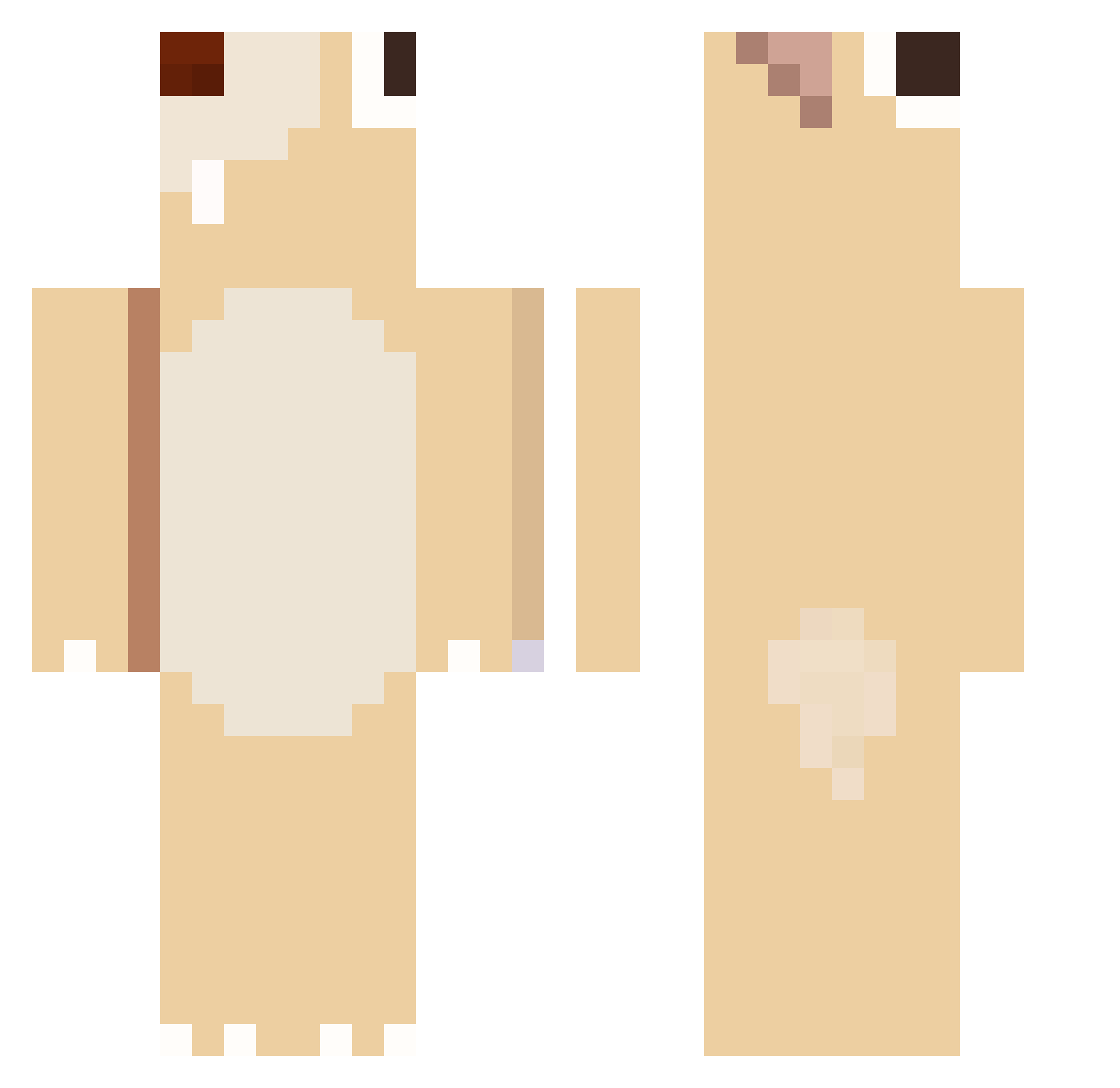 meanteach Minecraft skin, front and back view