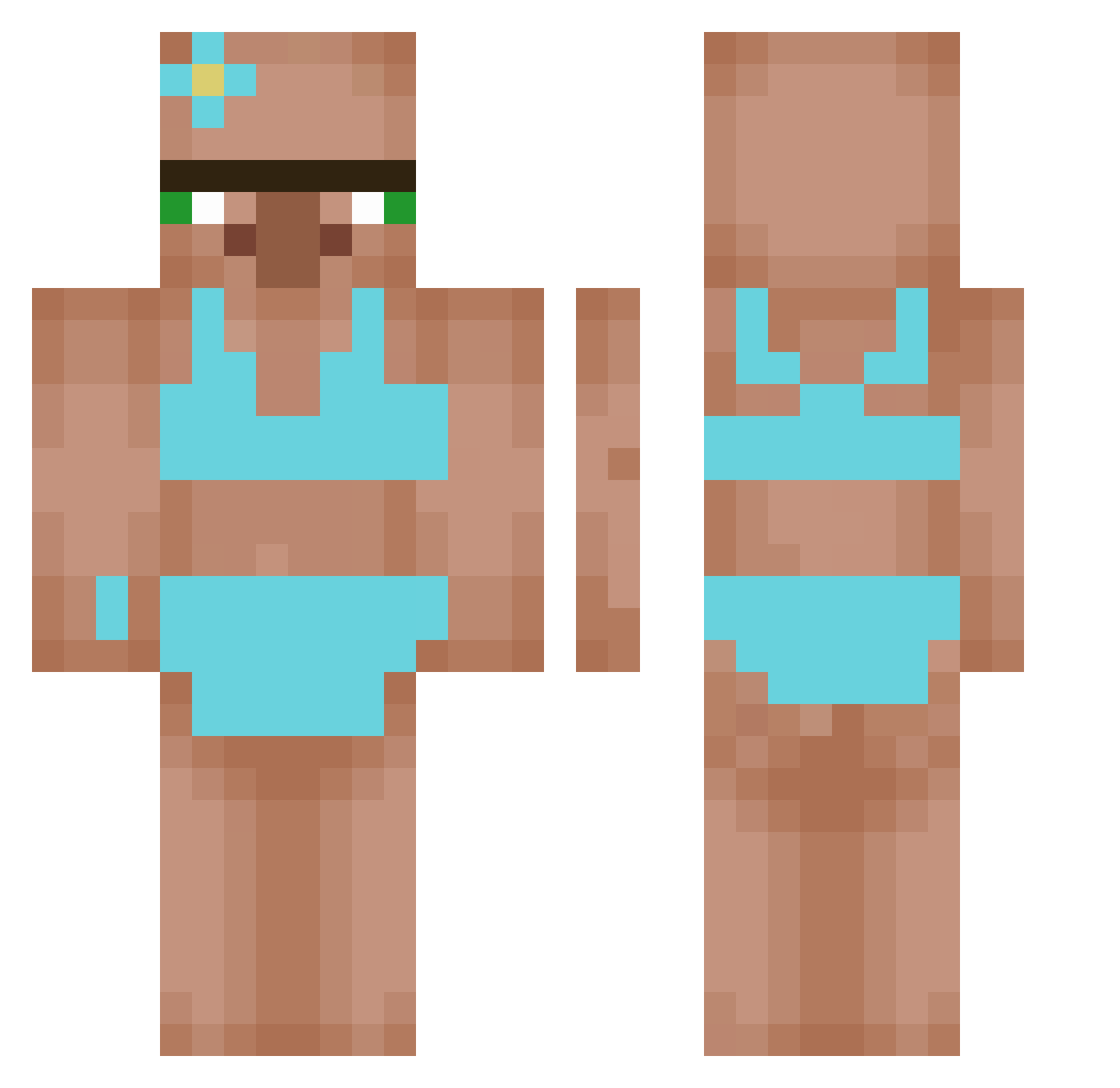 Teachx Minecraft skin, front and back view