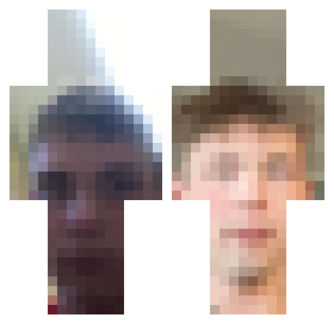 Toelicker22448 Minecraft skin, front and back view