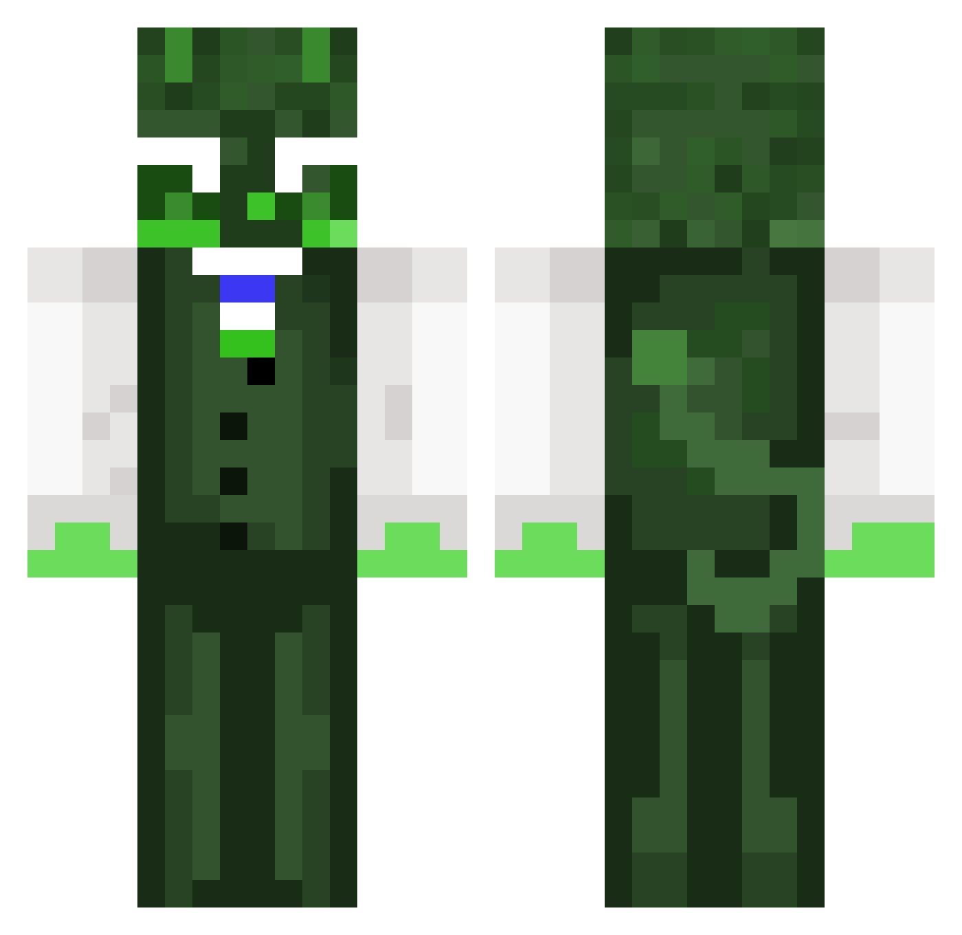 Zyr1l Minecraft skin, front and back view
