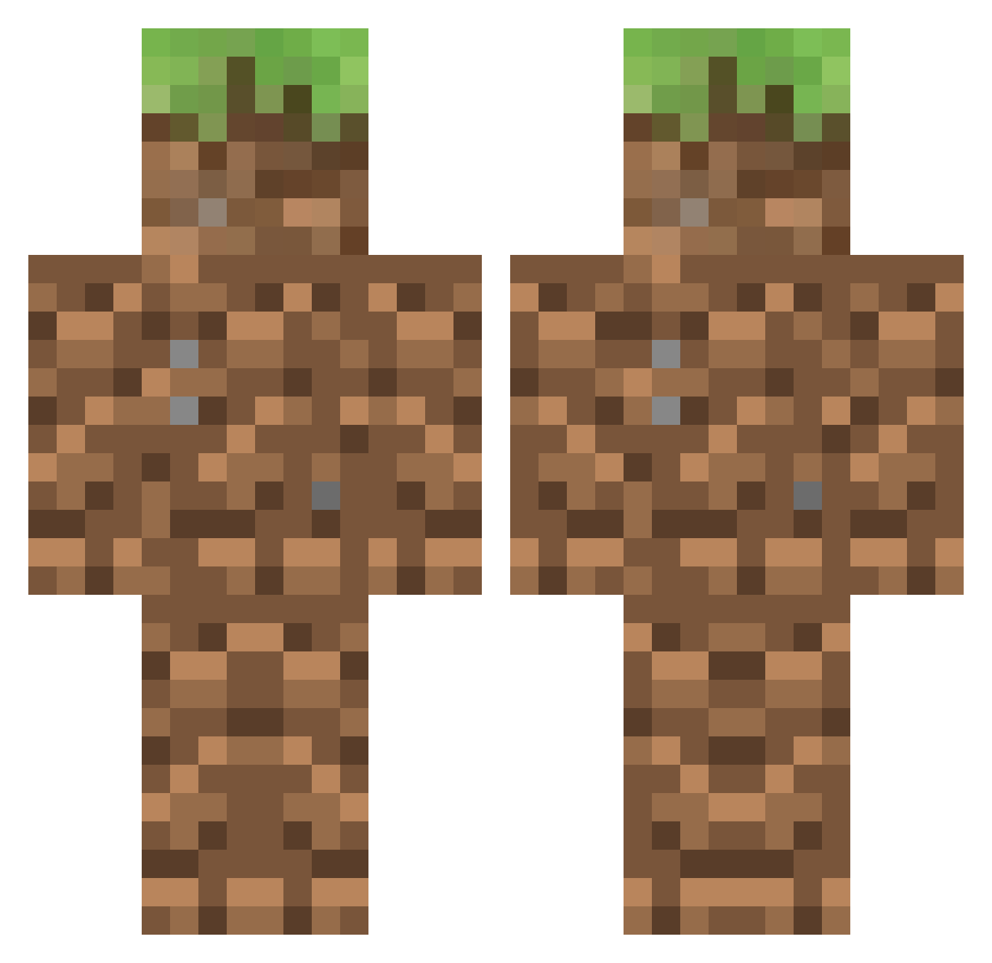 DN1t Minecraft skin, front and back view