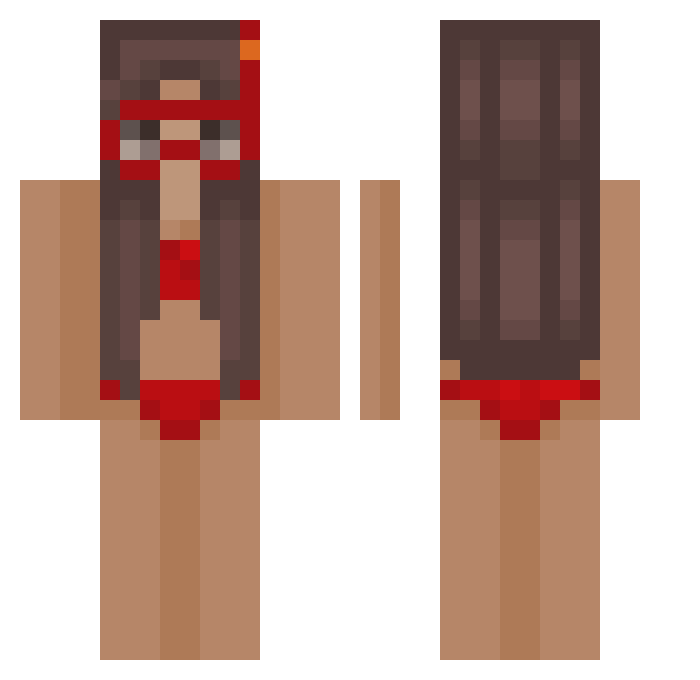 TARLU Minecraft skin, front and back view