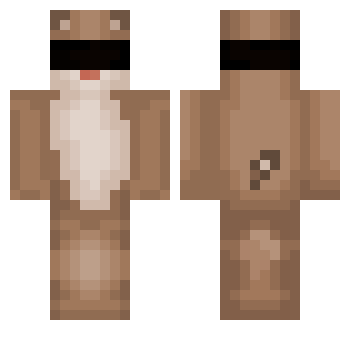 LittleWillgamer Minecraft skin, front and back view