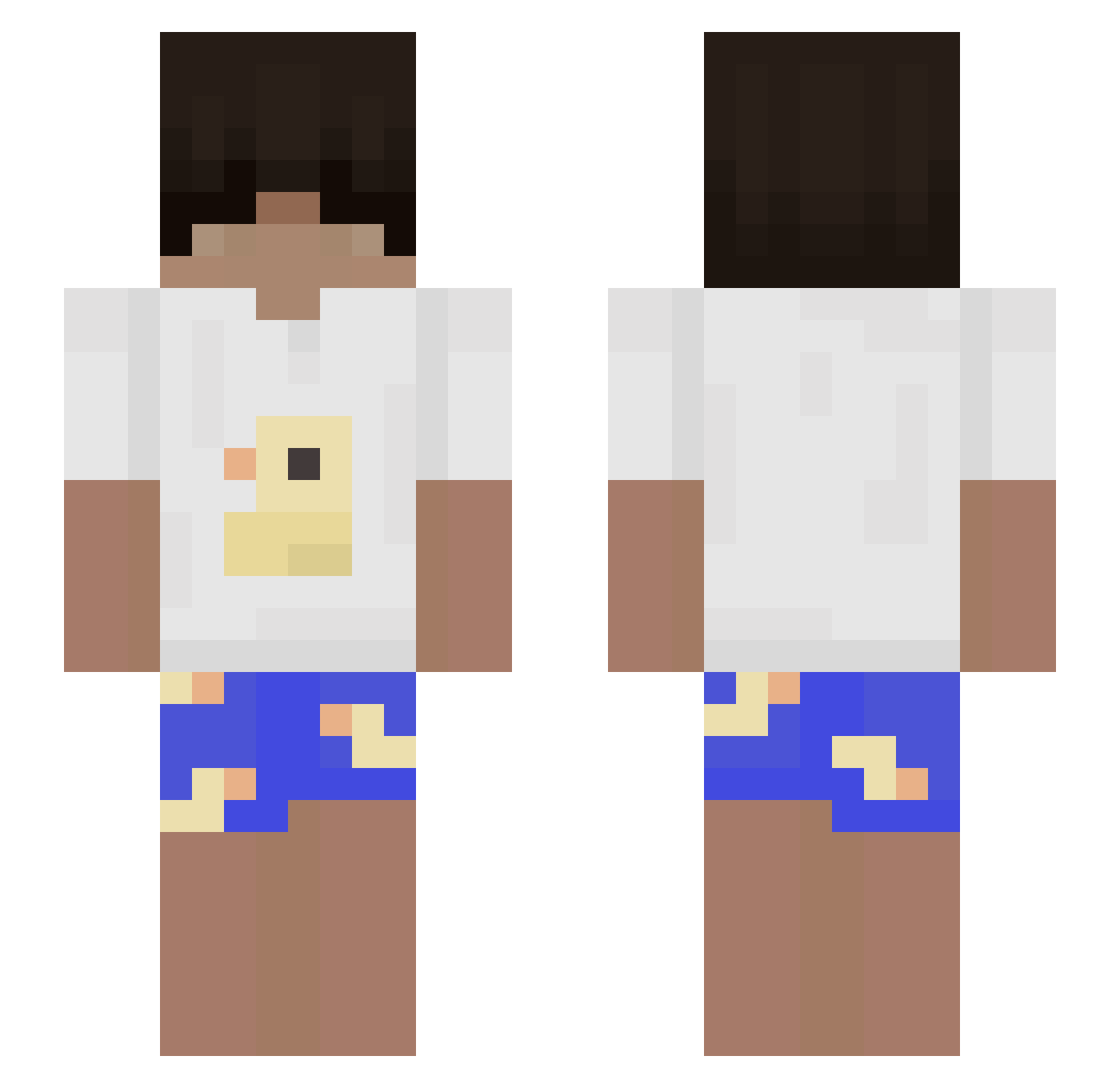 TRX_Coin_Crypto Minecraft skin, front and back view