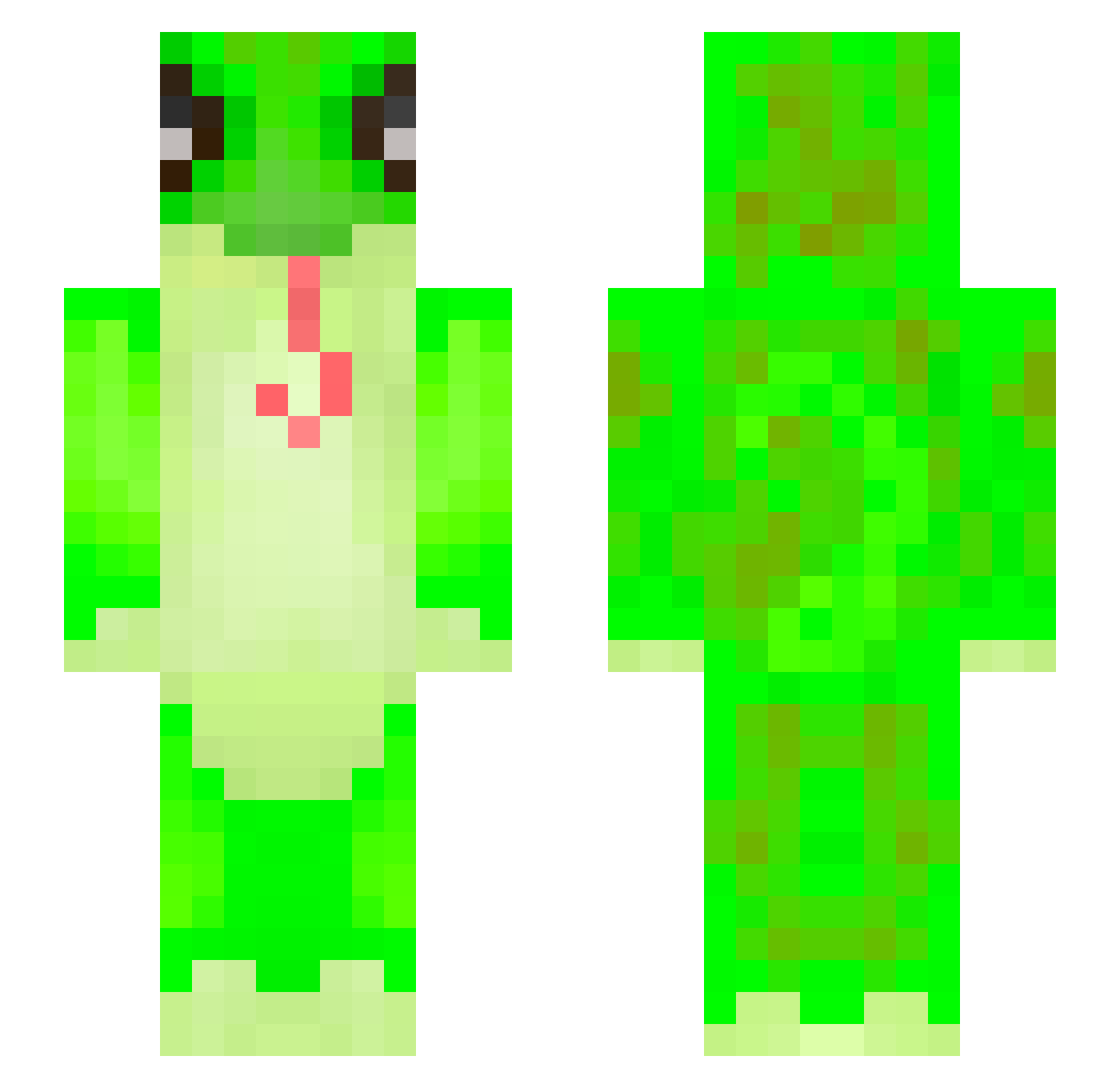 carterein Minecraft skin, front and back view