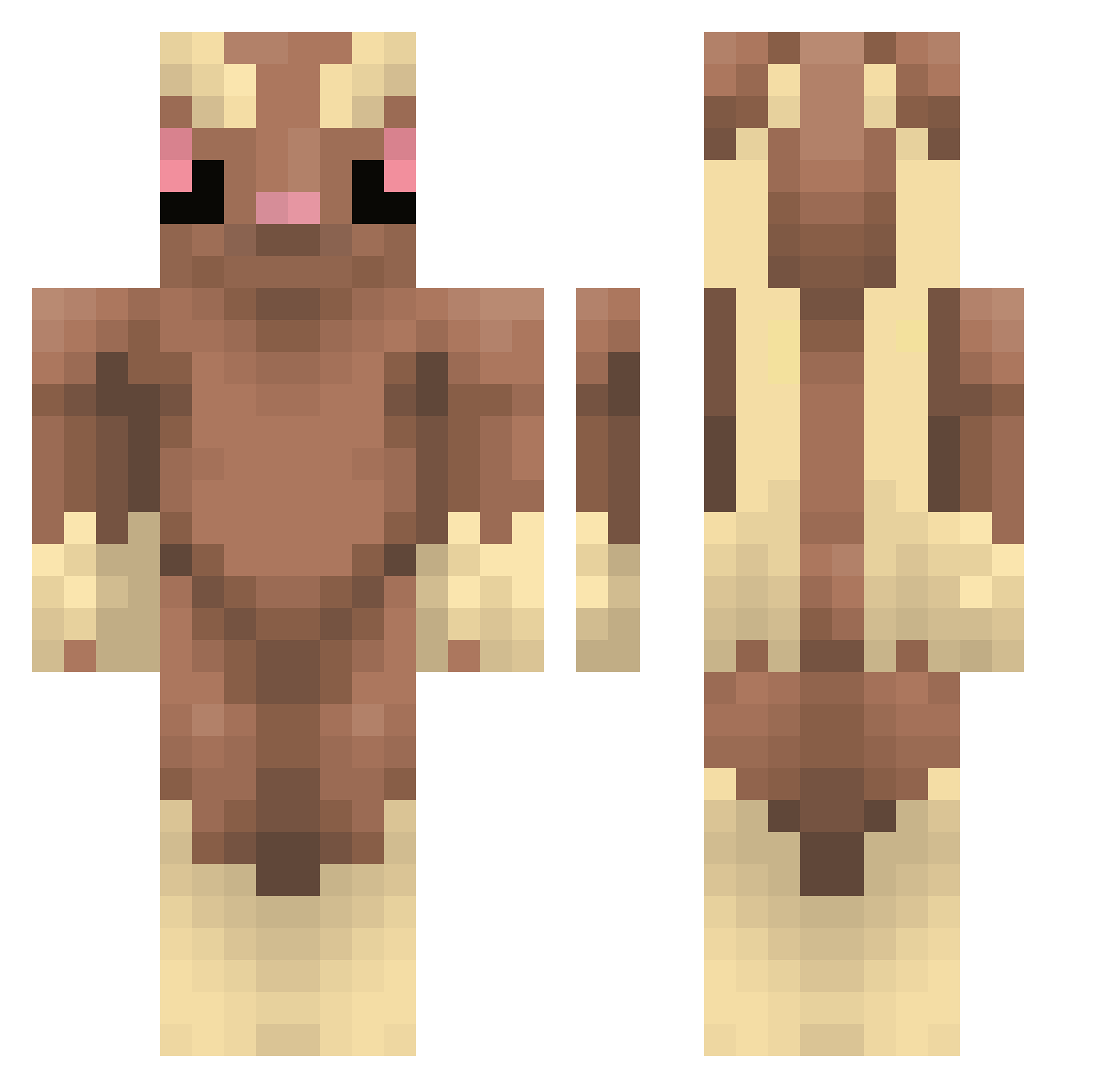 Eishy Minecraft skin, front and back view