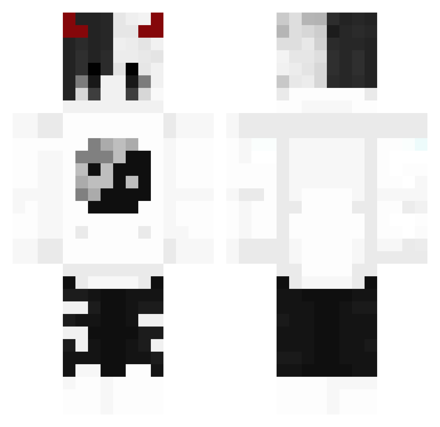 1337_poczciwy099 Minecraft skin, front and back view