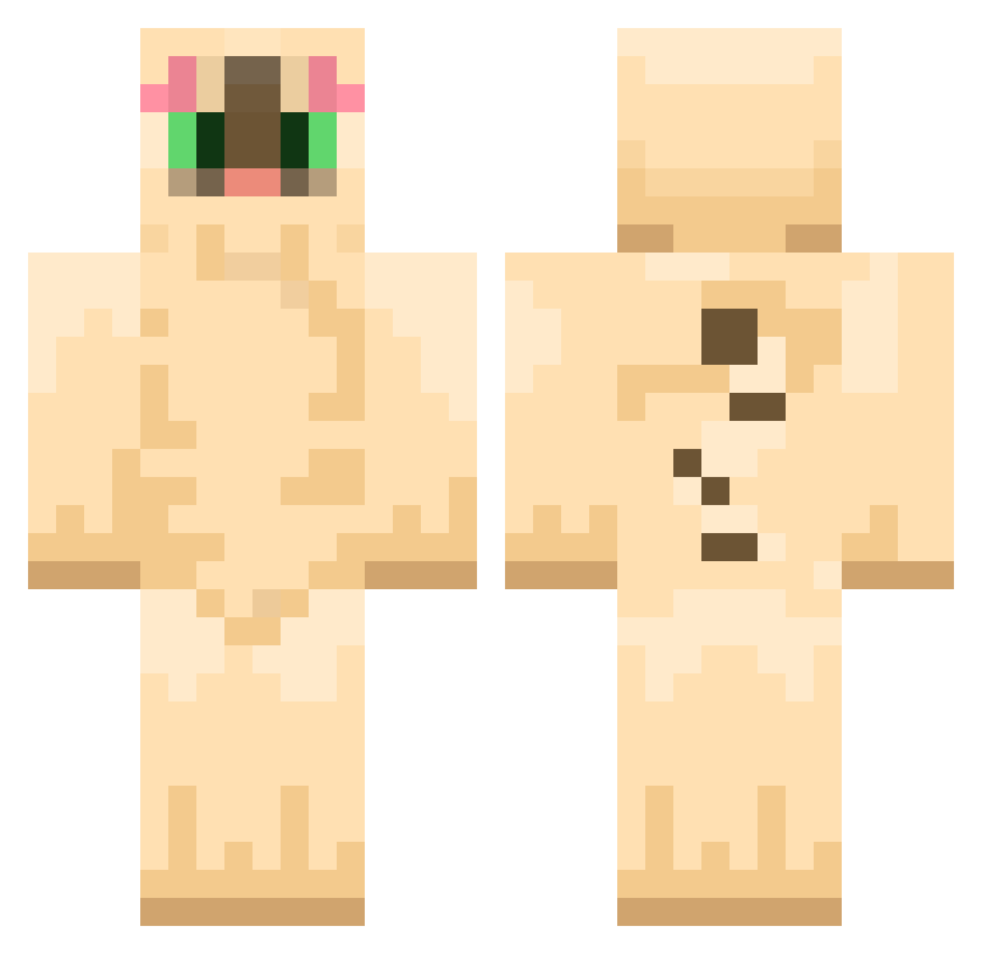 nwonk Minecraft skin, front and back view