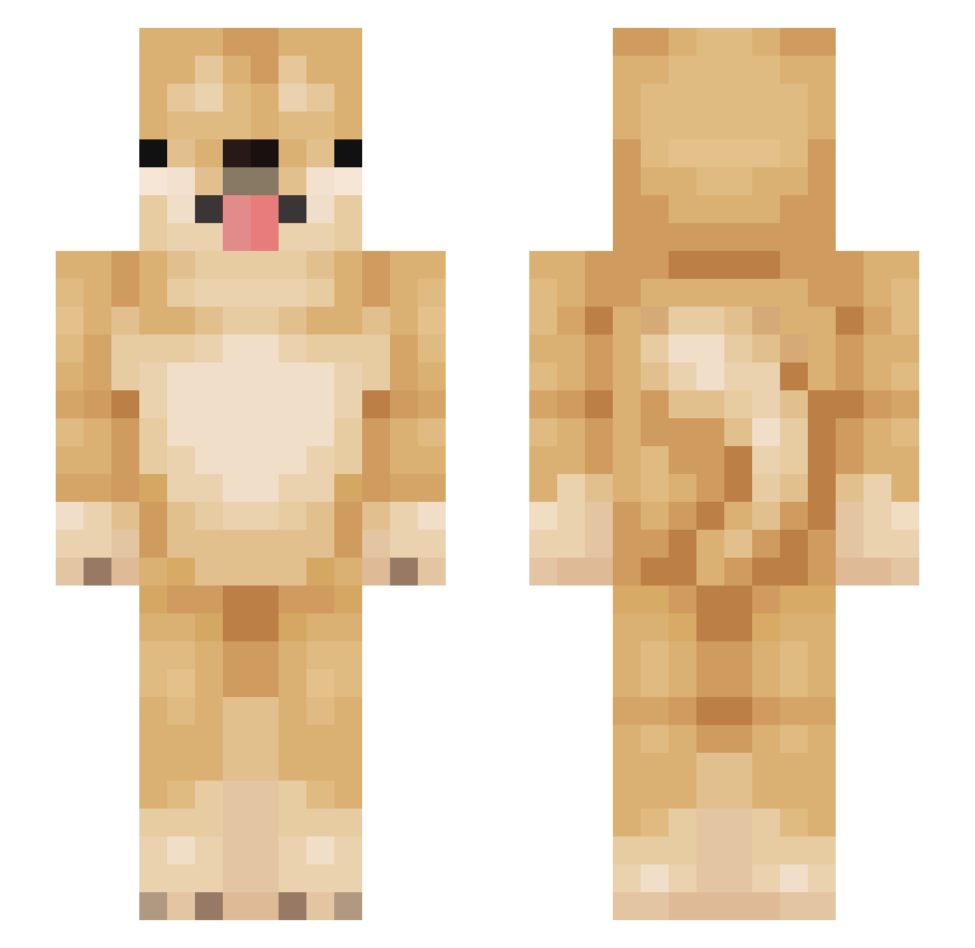 _mishuu_ Minecraft skin, front and back view