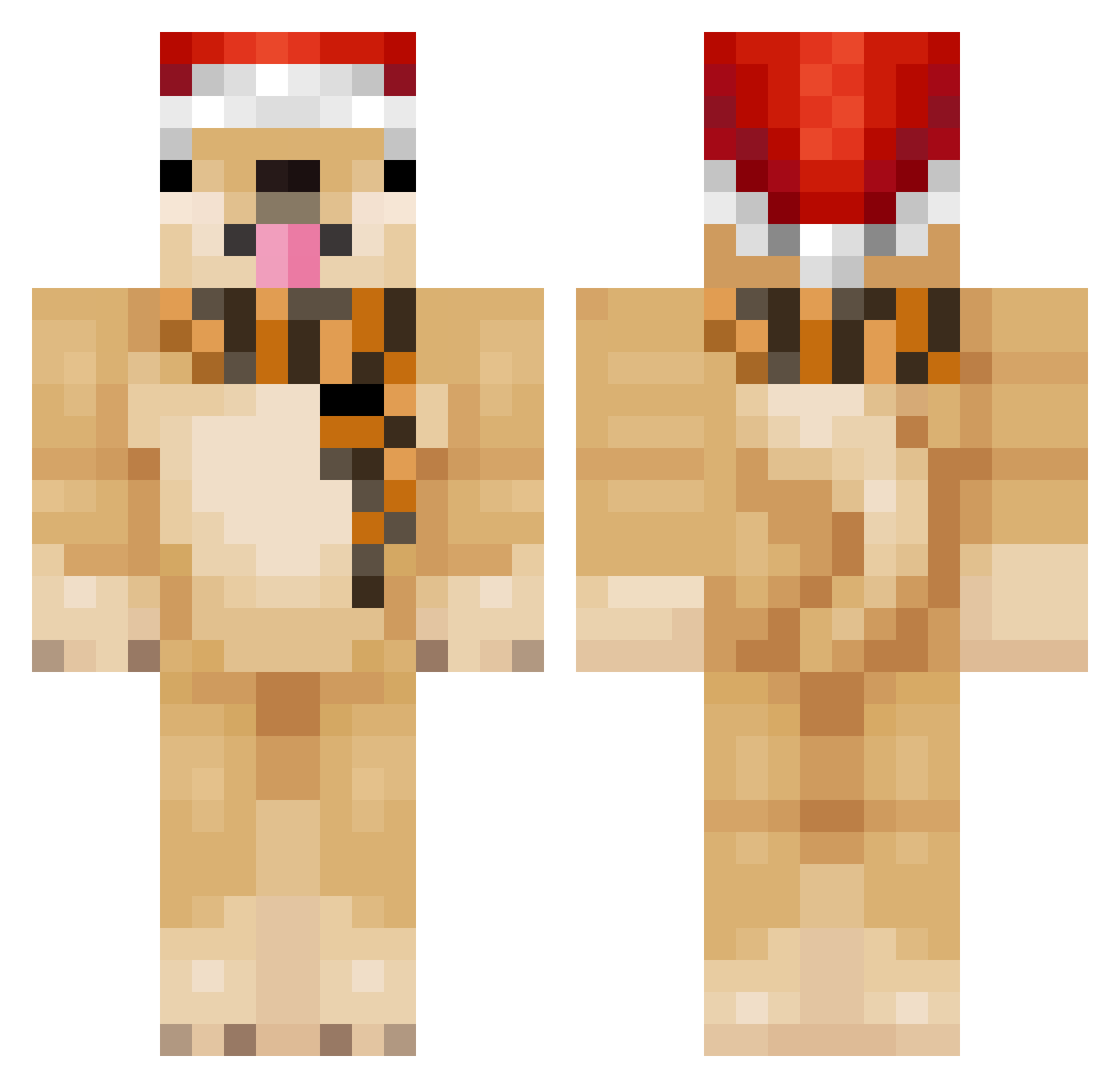 Dcggo Minecraft skin, front and back view