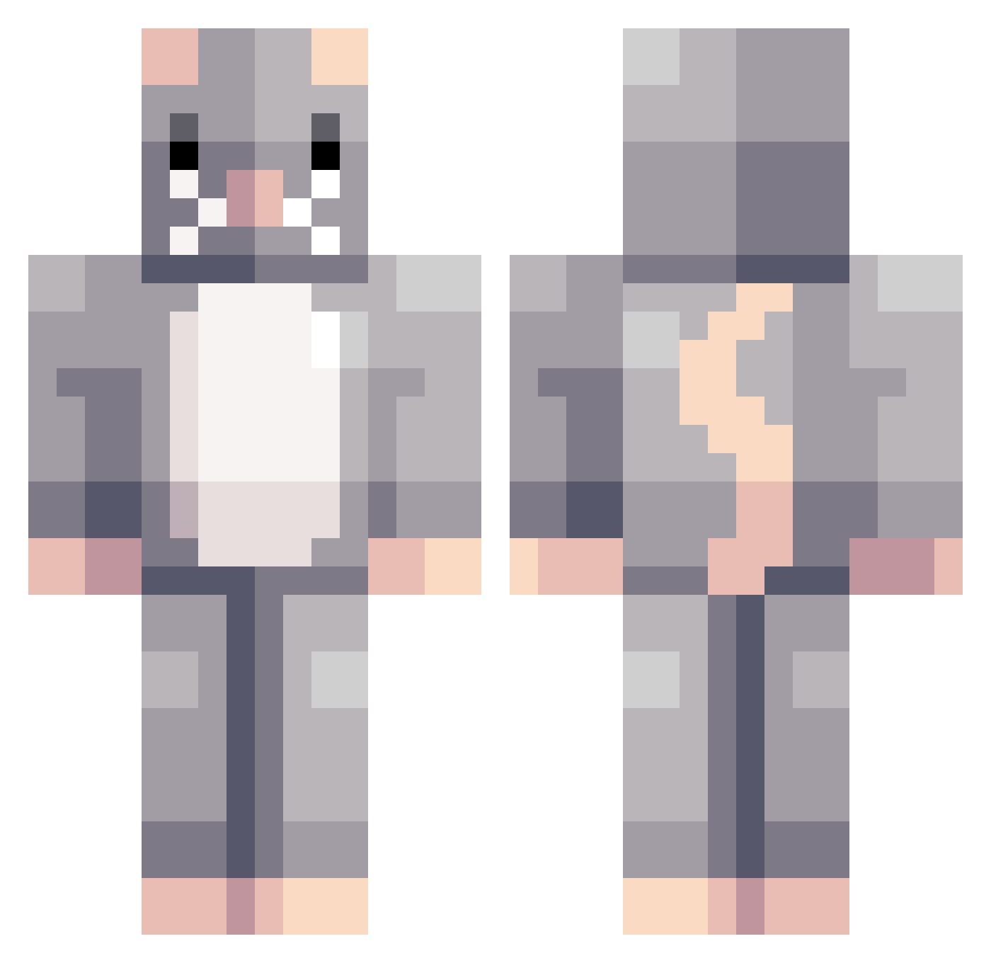 Zylideon Minecraft skin, front and back view