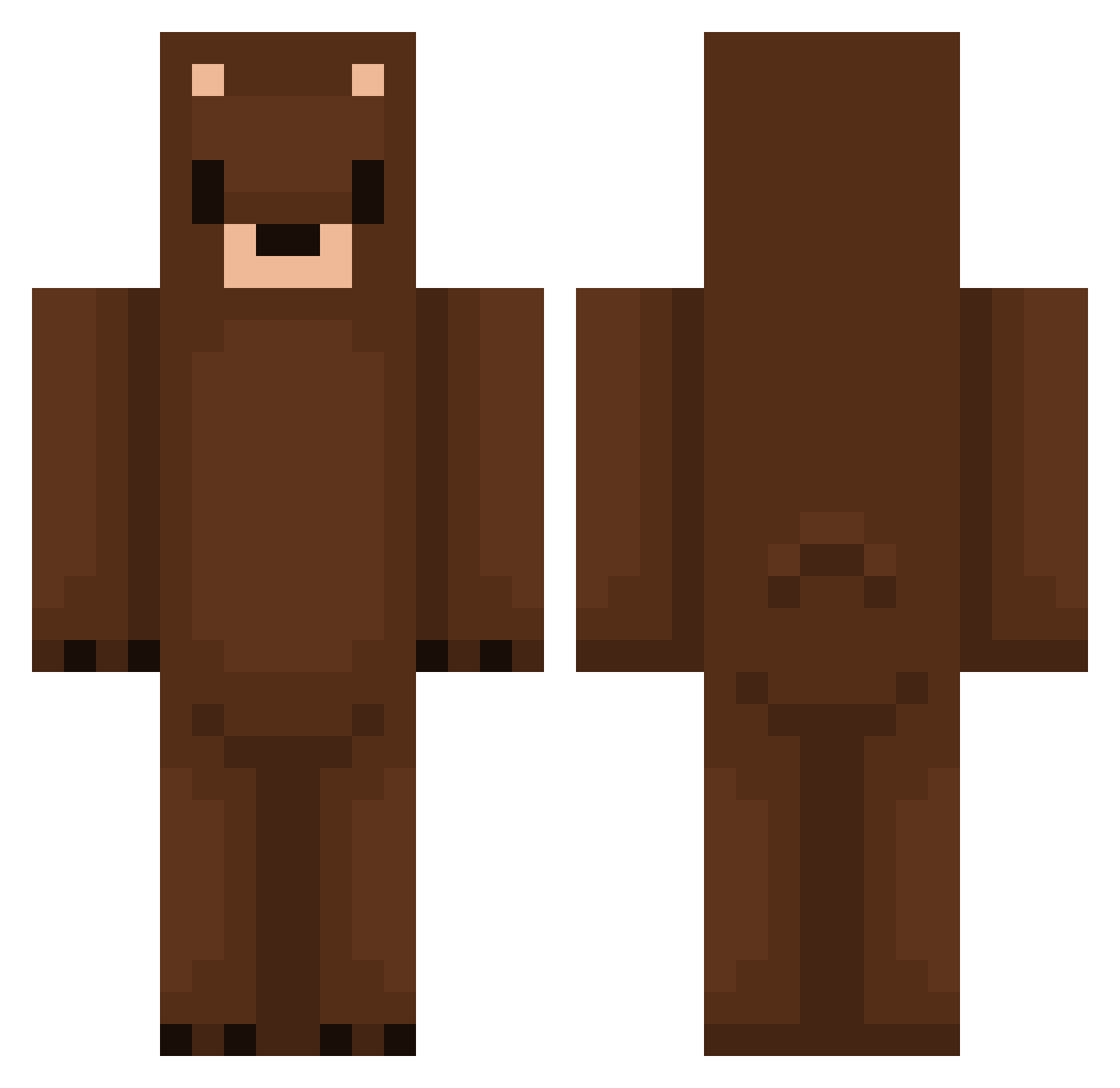 Violezhvs Minecraft skin, front and back view