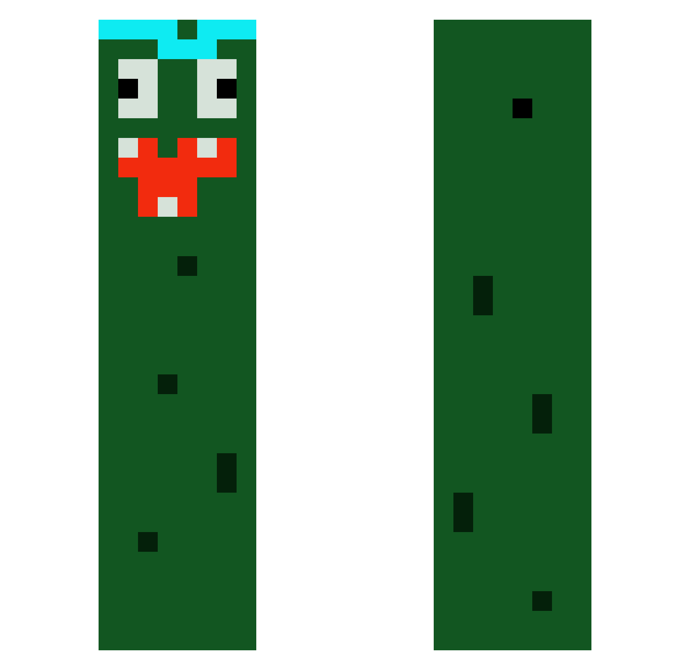 shaanthy Minecraft skin, front and back view