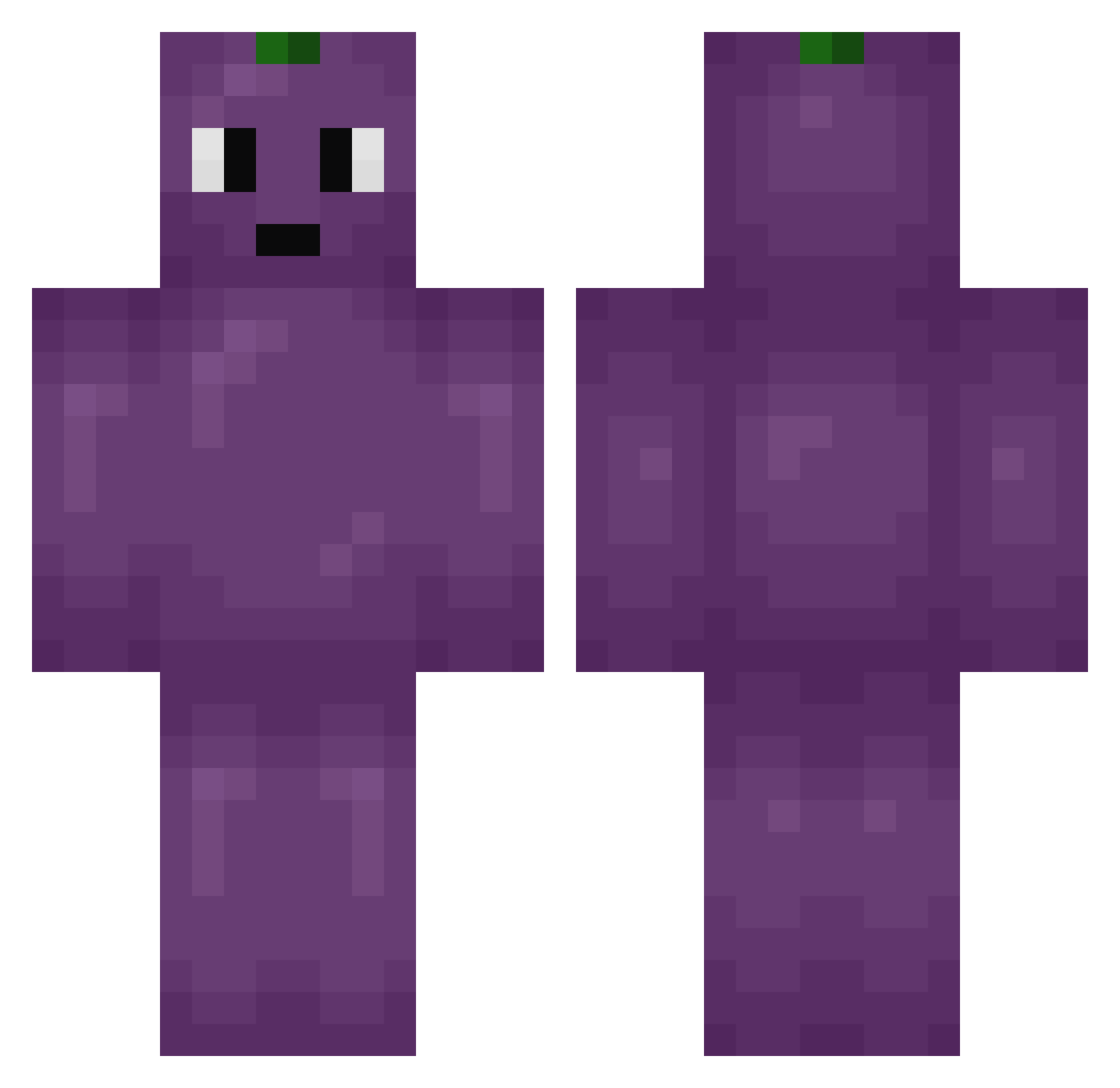 Swonk Minecraft skin, front and back view