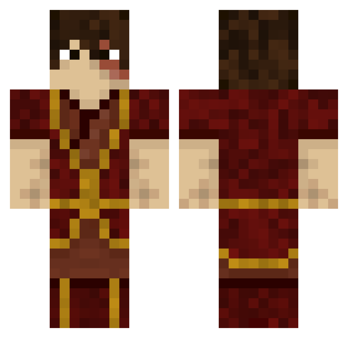 Poolcat Minecraft skin, front and back view
