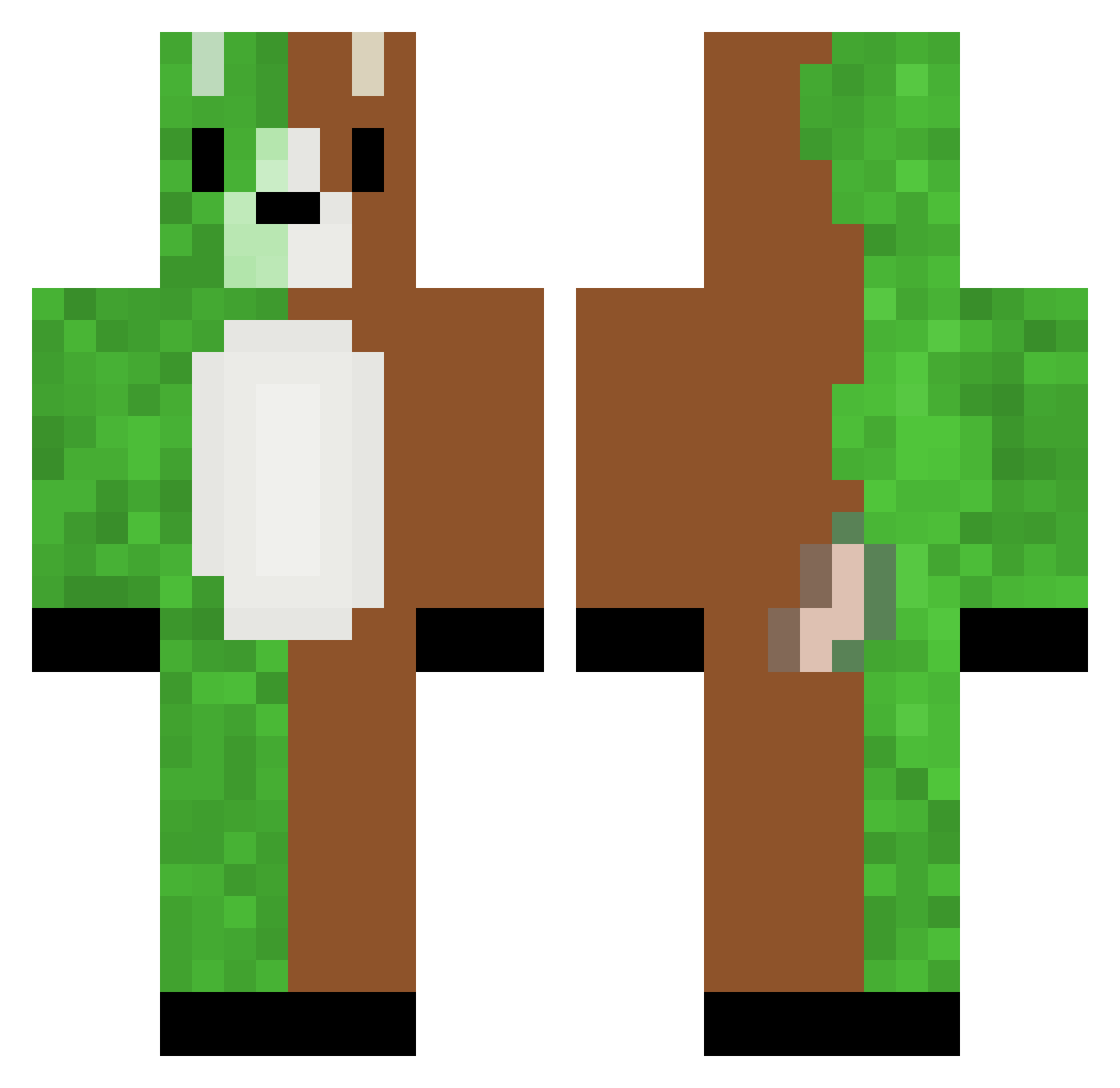 lucicraft0906 Minecraft skin, front and back view