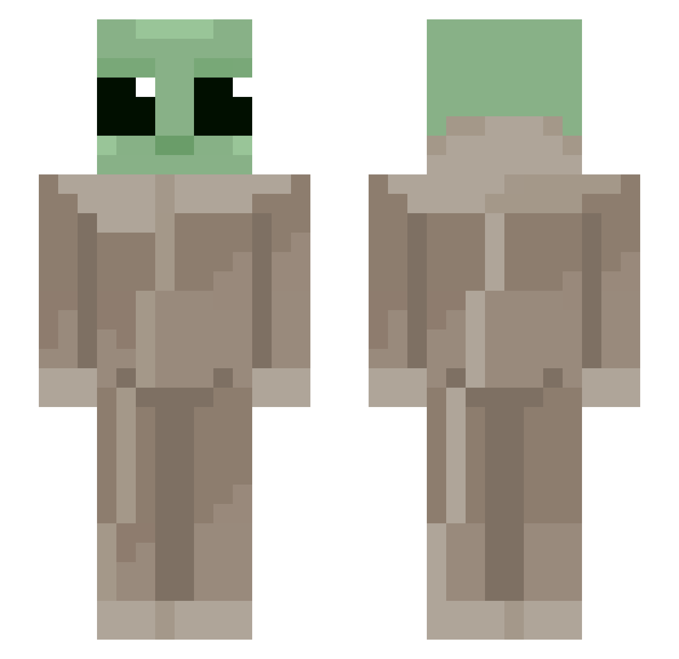 shvne Minecraft skin, front and back view