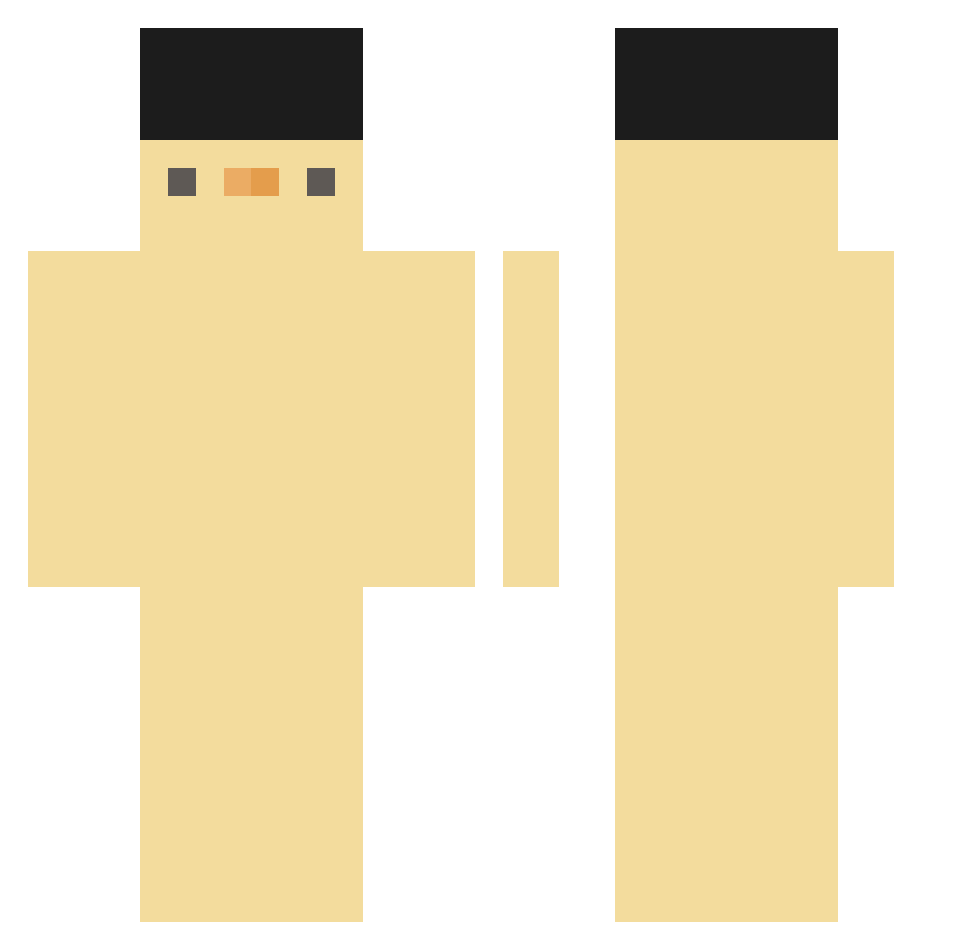 PokDan Minecraft skin, front and back view
