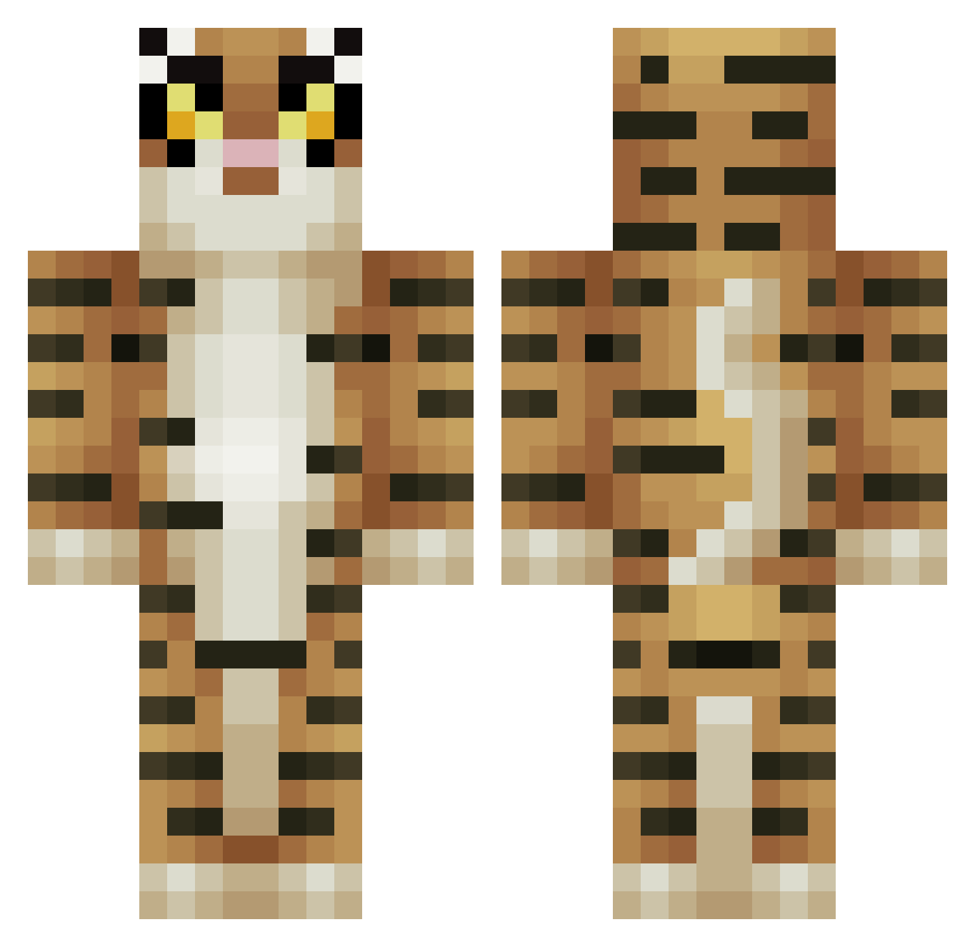 Cosmicality Minecraft skin, front and back view