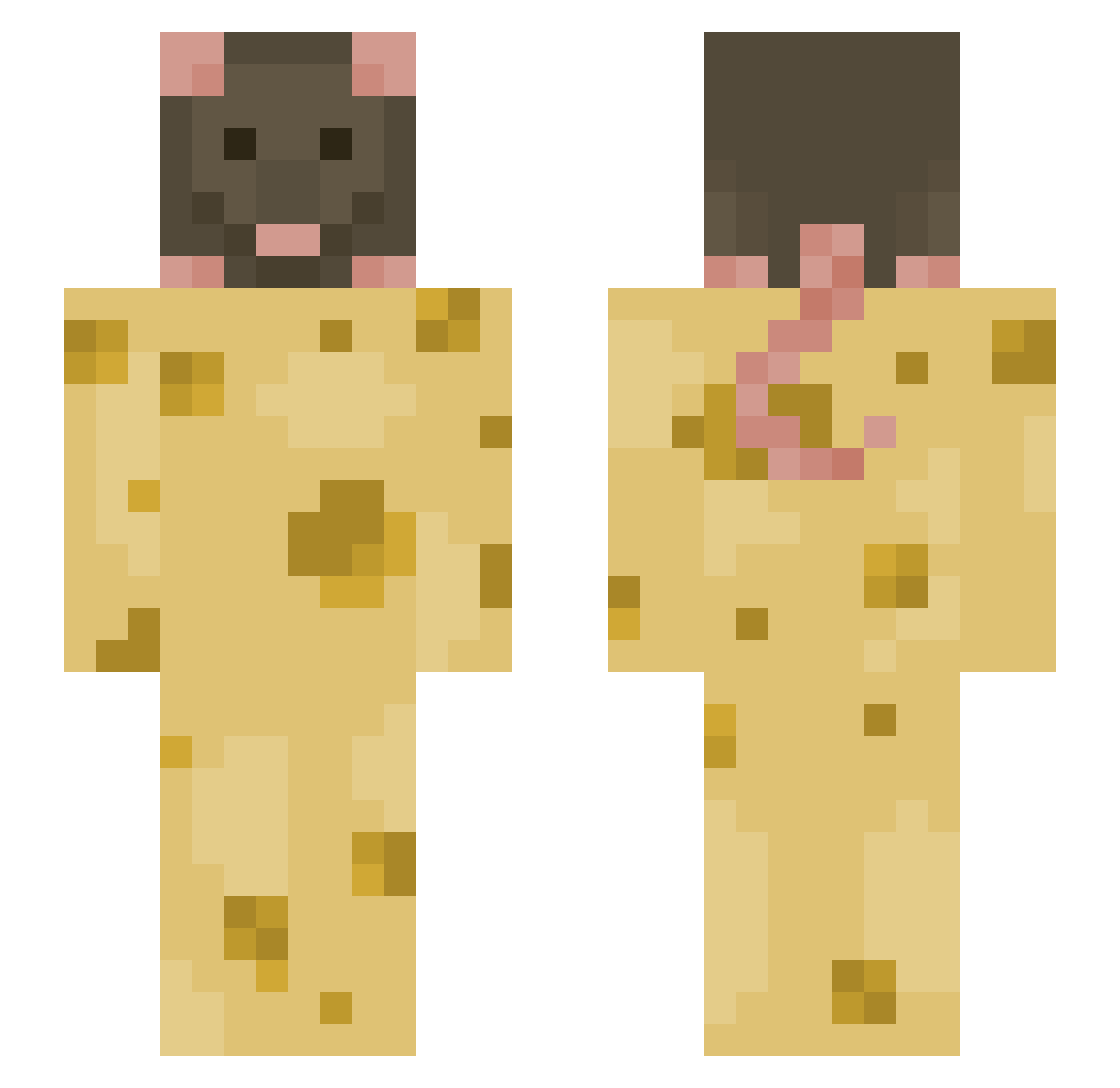 Ragetitanlol Minecraft skin, front and back view