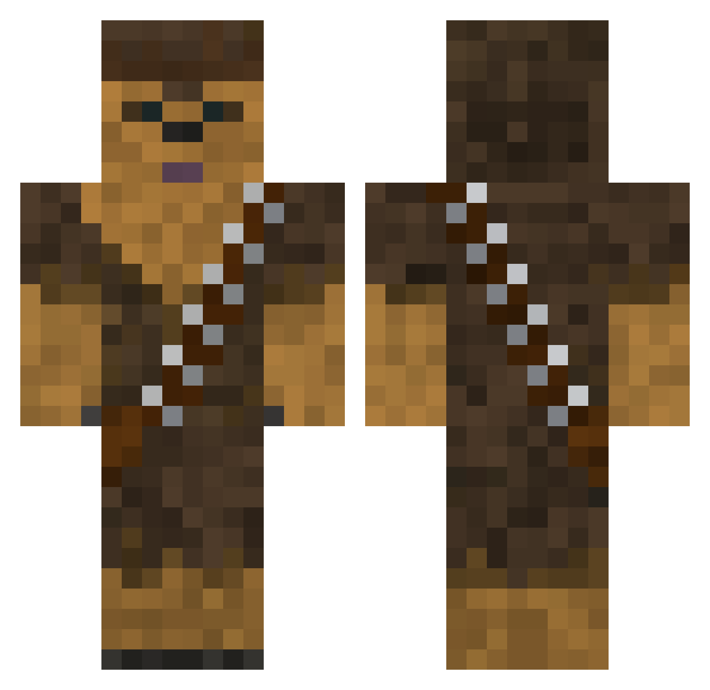 _Nimax_ Minecraft skin, front and back view