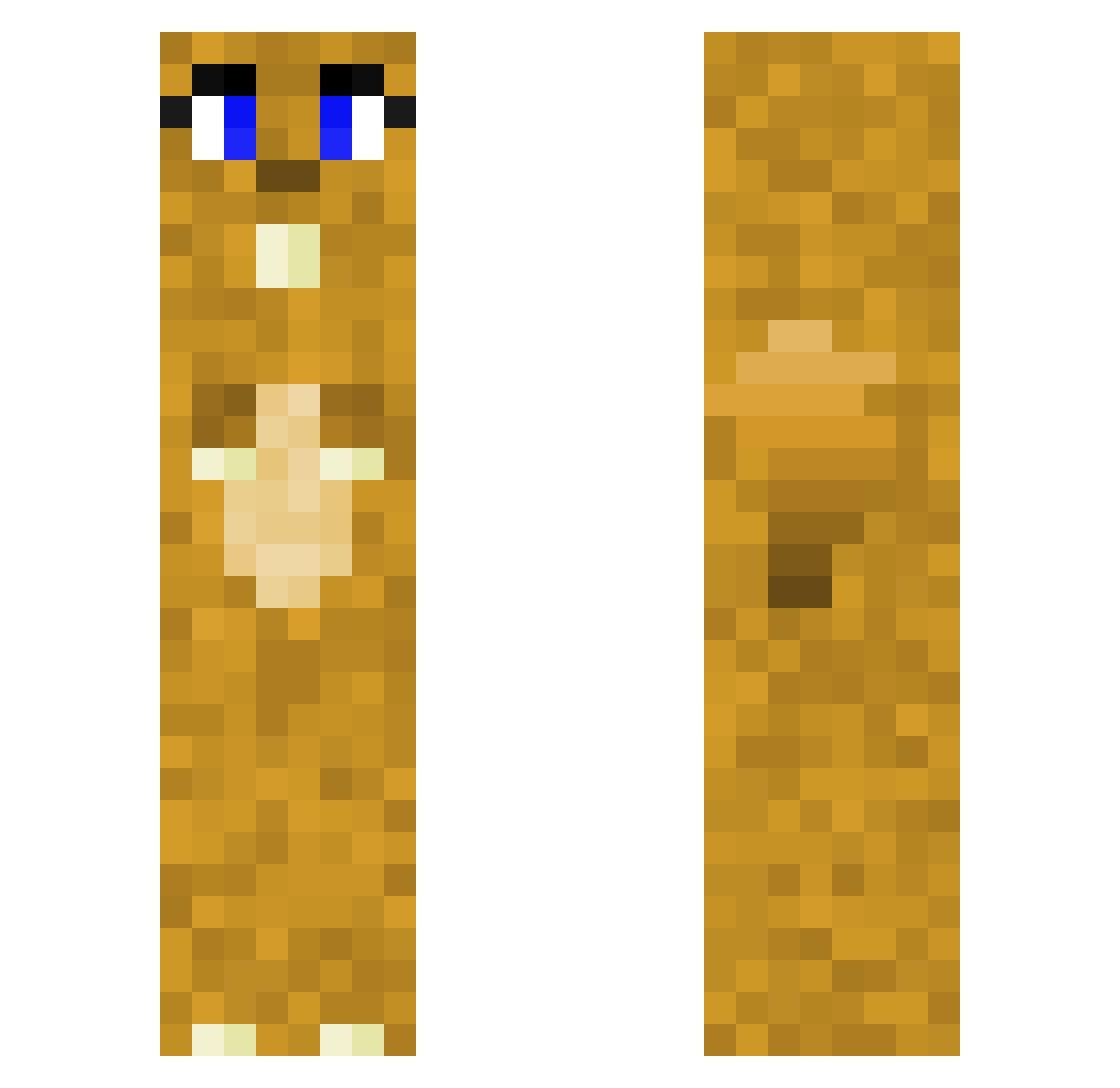 joe_slls Minecraft skin, front and back view
