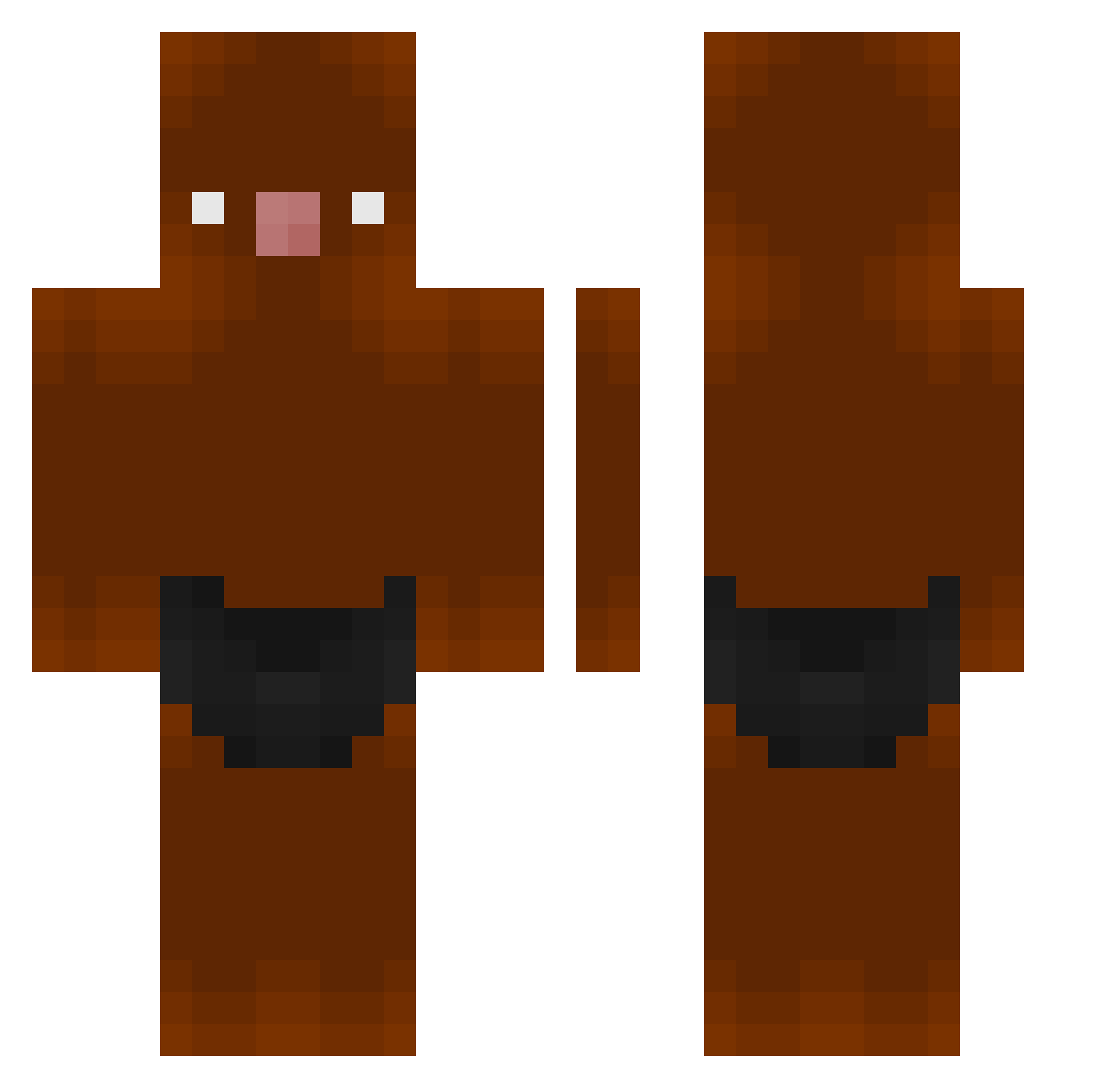 nixozz_ Minecraft skin, front and back view