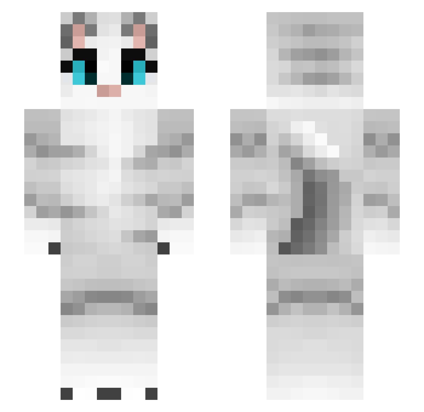 INC0330 Minecraft skin, front and back view