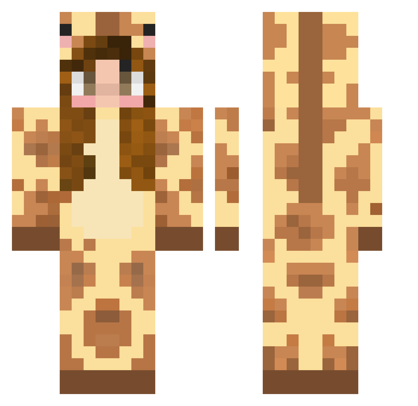 Archiiiii Minecraft skin, front and back view