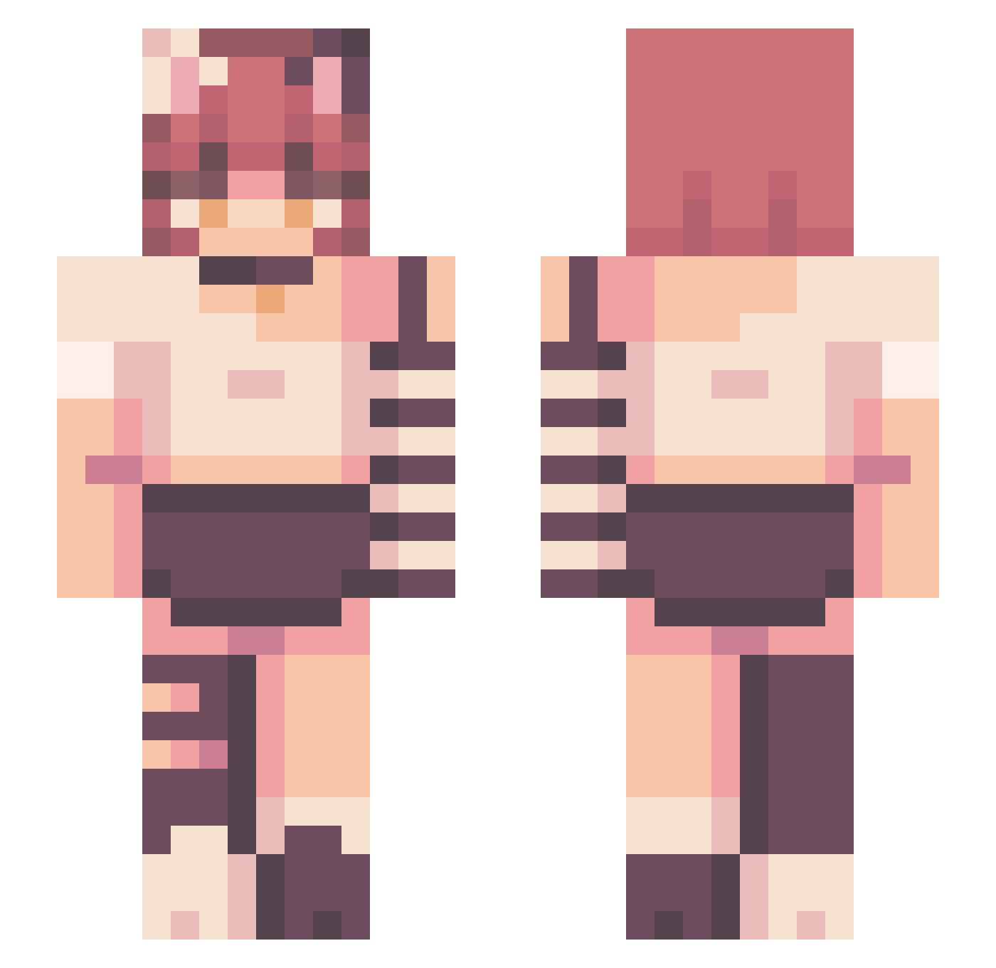 wwae Minecraft skin, front and back view