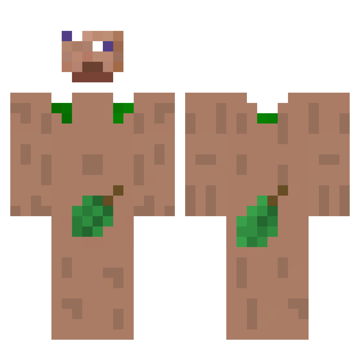 softwarefeatures Minecraft skin, front and back view